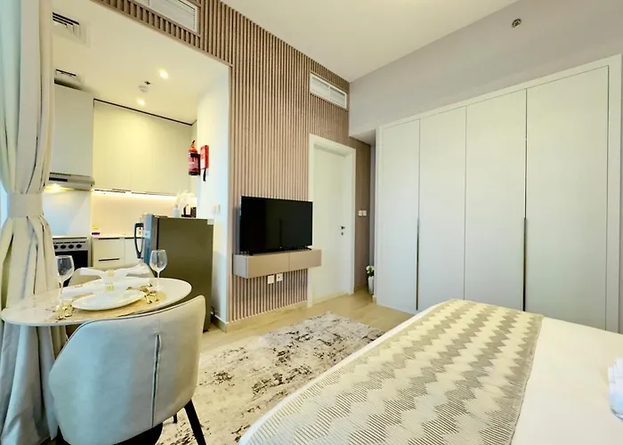Brand New-Fully Furnished Classy Studio In Jvc